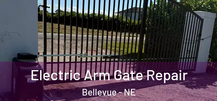  Electric Arm Gate Repair Bellevue - NE