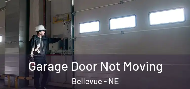  Garage Door Not Moving Bellevue - NE