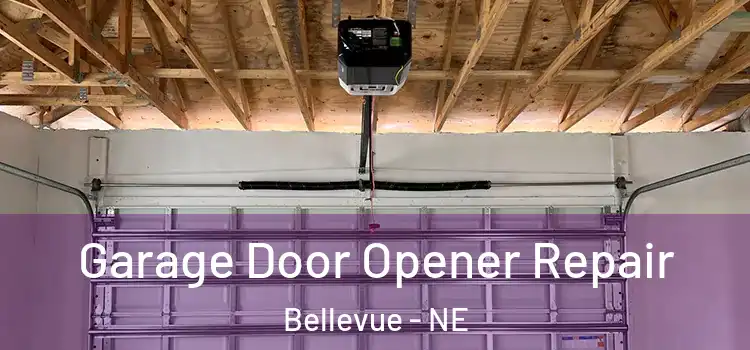  Garage Door Opener Repair Bellevue - NE