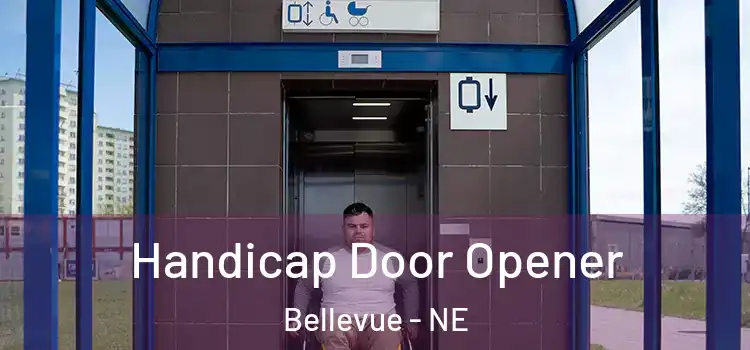  Handicap Door Opener Bellevue - NE