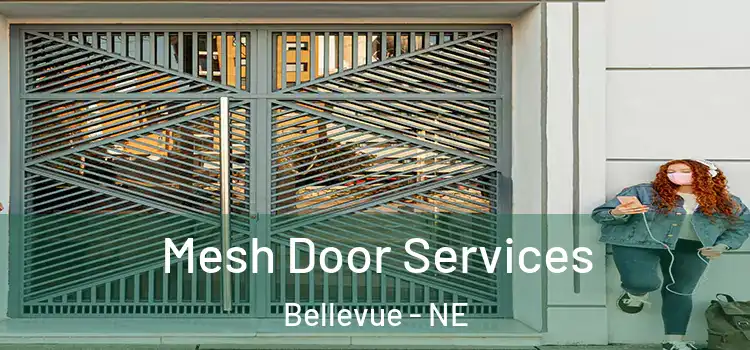 Mesh Door Services Bellevue - NE