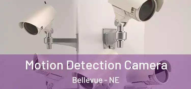  Motion Detection Camera Bellevue - NE