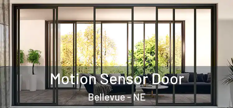  Motion Sensor Door Bellevue - NE