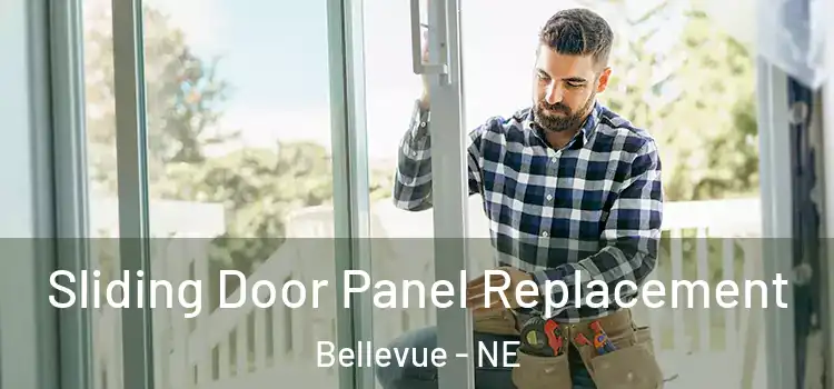  Sliding Door Panel Replacement Bellevue - NE