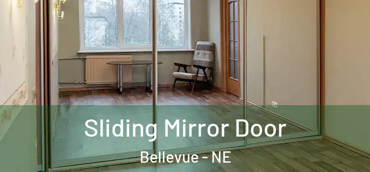  Sliding Mirror Door Bellevue - NE